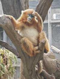 廣州動物園20元的快樂