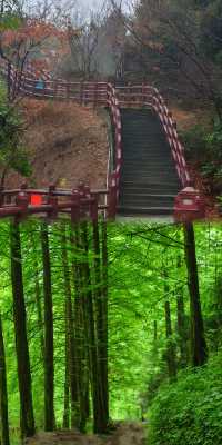 春日遠足攻略：12處綠色療癒之地，啟程上春山！
