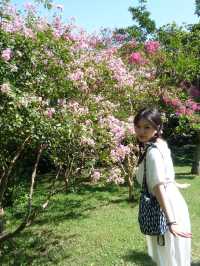 🌸【京都】嵐山櫻花攻略：穿梭在櫻花林中，超浪漫。