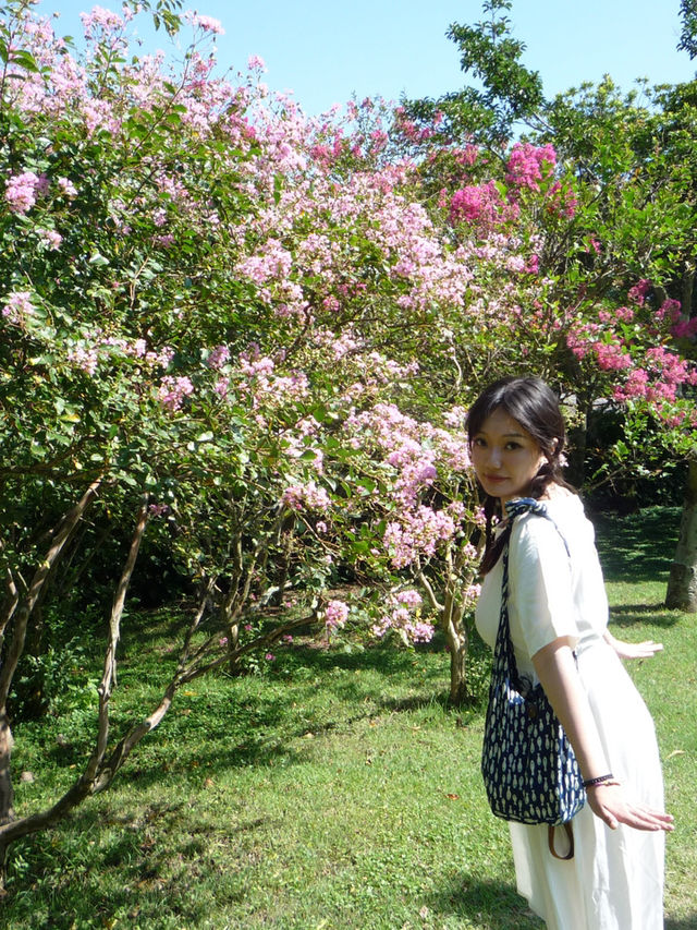 🌸【京都】嵐山櫻花攻略：穿梭在櫻花林中，超浪漫。