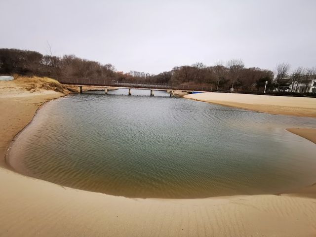 清明出行︱金夢海灣今日實況
