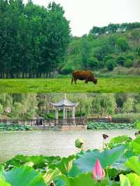 富平｜解鎖小眾寶藏旅行地