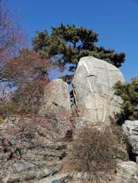 今日嘅奧北森林公園桃花溝