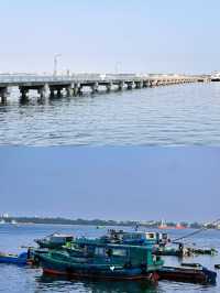 湛江魚港公園