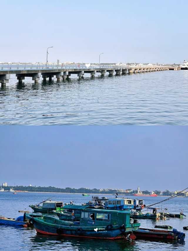 湛江魚港公園