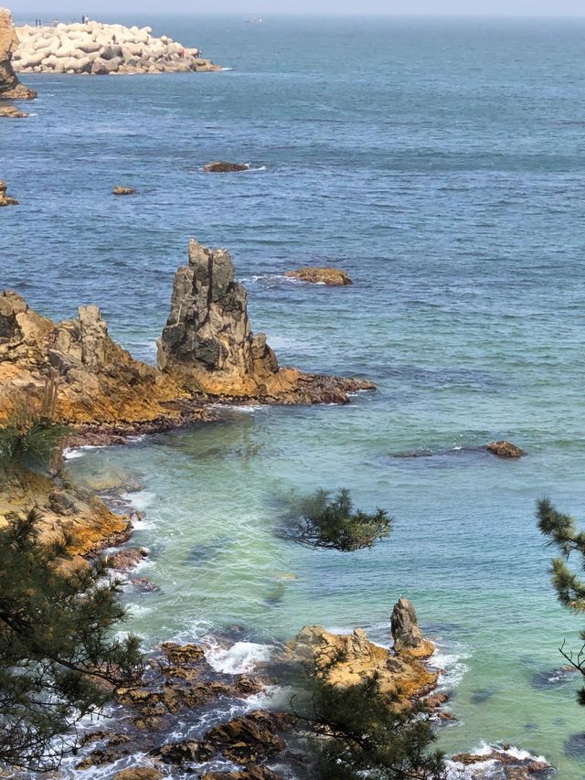 別只知道濟州島啦！韓國東海超絕旅遊攻略