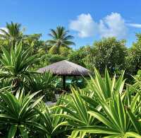 馬爾代夫馬富士島熱帶植物園遊玩攻略