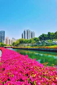 探索後海中心河公園，感受城市中的生態靜謐