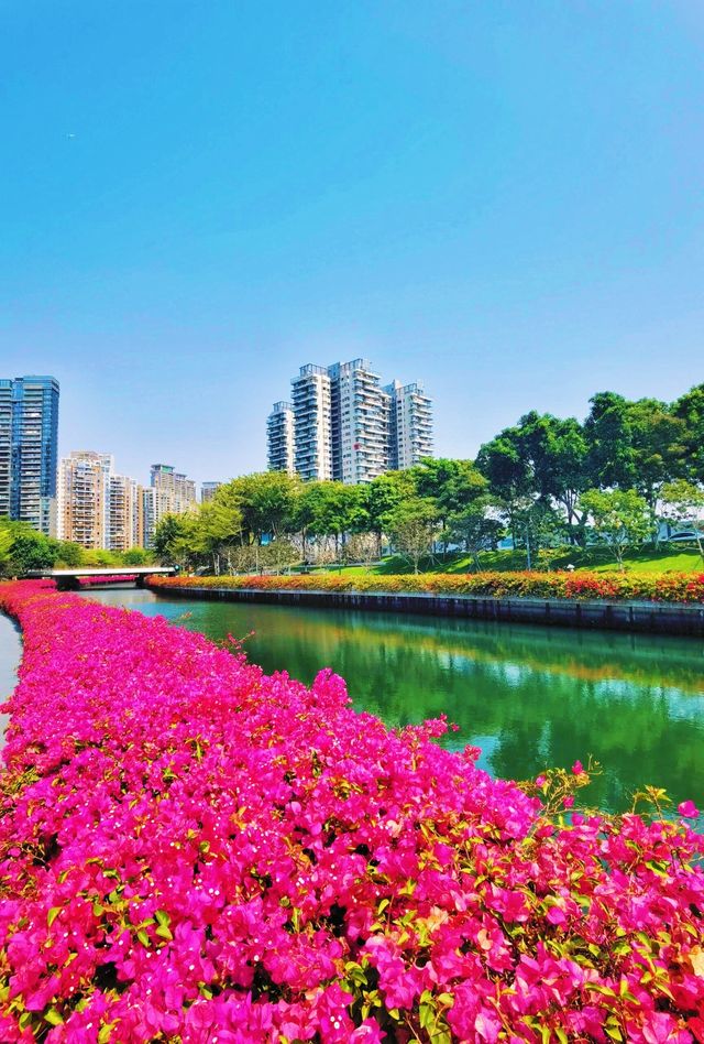 探索後海中心河公園，感受城市中的生態靜謐