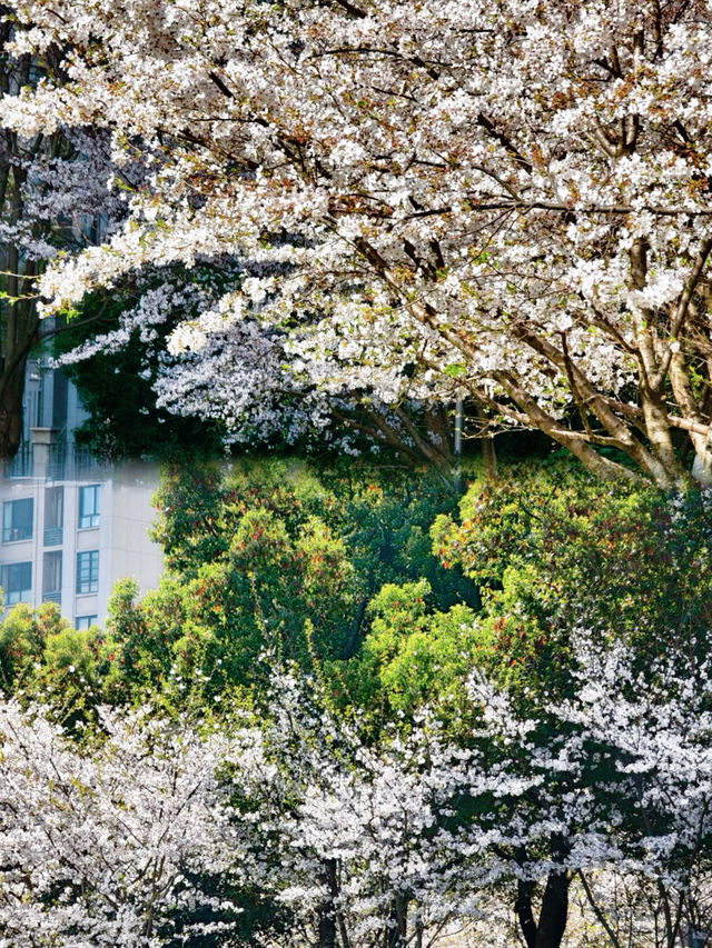 福州百林公園遊玩攻略