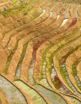 계림 용척 계단식 논 | 평안 좡족 마을 대지 팔레트