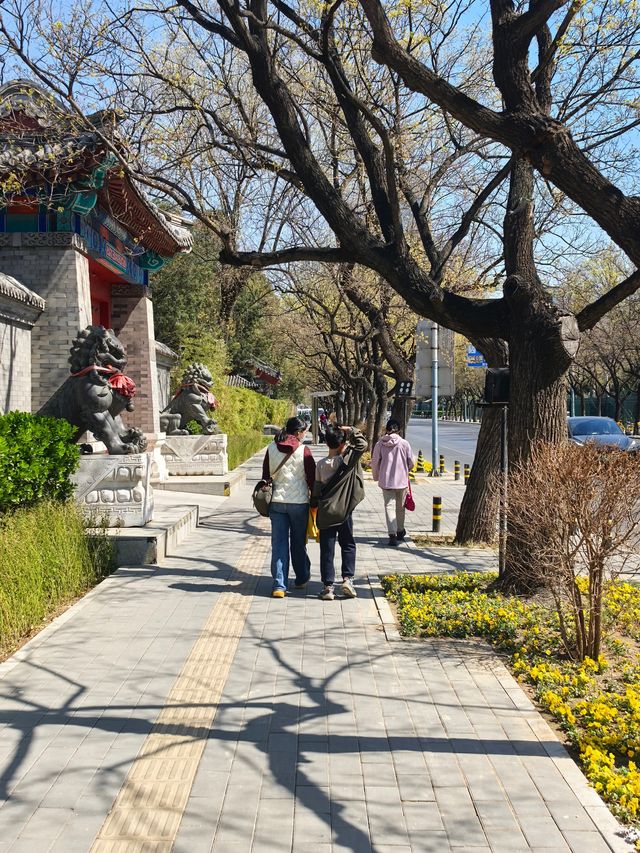 三月北京日壇公園旅遊攻略