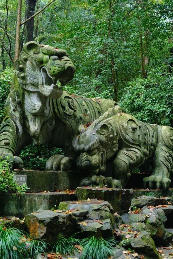Discover the Most Relaxing City Walk Route Around West Lake!