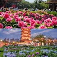 洛陽三天兩夜純乾貨攻略 帶你深度遊