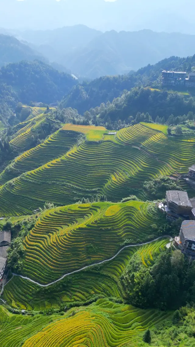 Minority Enclaves: Longji Rice Terraces