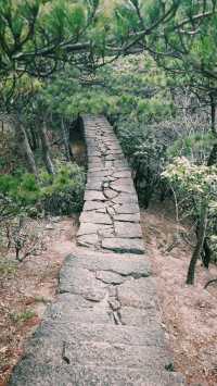 「黃山歸來不看嶽」