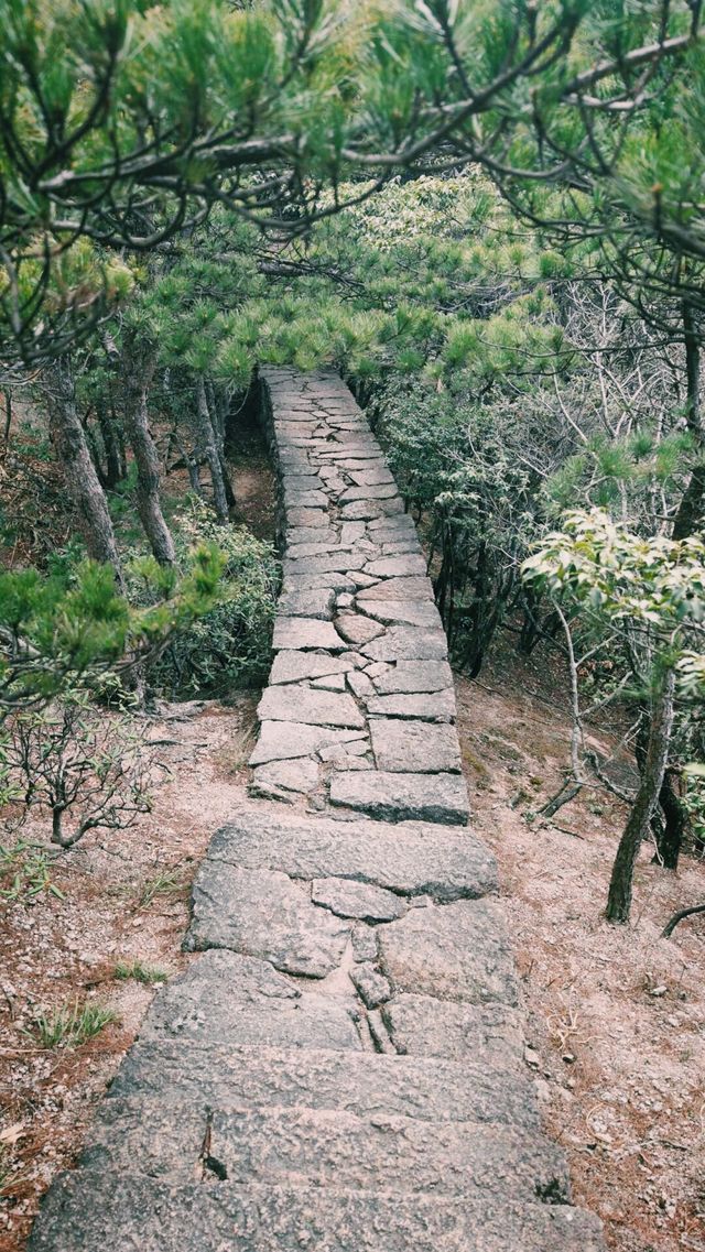 「黃山歸來不看嶽」 「黃山歸來不看嶽」
