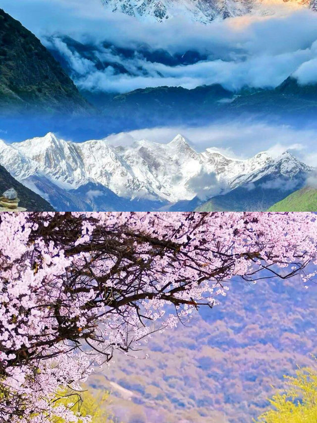 西藏文化信仰和季節特色的爆款遊標
