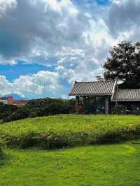 🌸深圳隱世花谷|簕杜鵑谷公園全攻略🌿