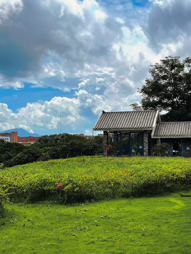 🌸深圳隱世花谷|簕杜鵑谷公園全攻略🌿 🌸深圳隱世花谷|簕杜鵑谷公園全攻略🌿