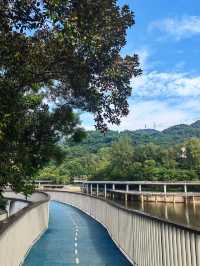 銀湖山郊野公園環山公路徒步攻略🌳🚶‍♂️