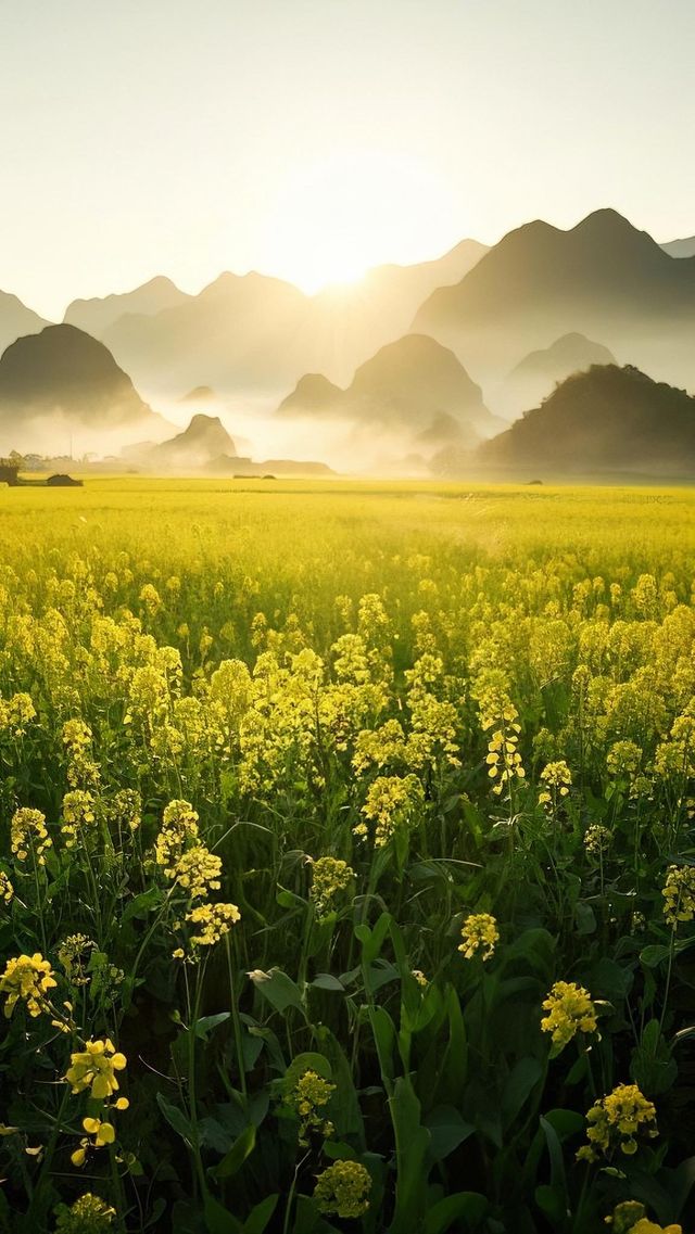 萬峰林漫遊指南