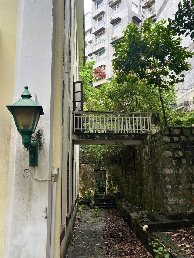 【古井映婆娑：亞婆井前地的時光漣漪】
