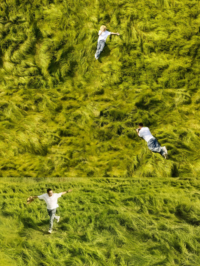 溧水旅行｜龍貓海草東廬山森系與落日詩意