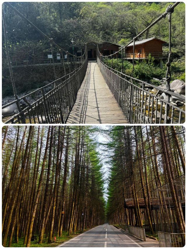紅葉暴走！光霧山雲端撒歡手賬
