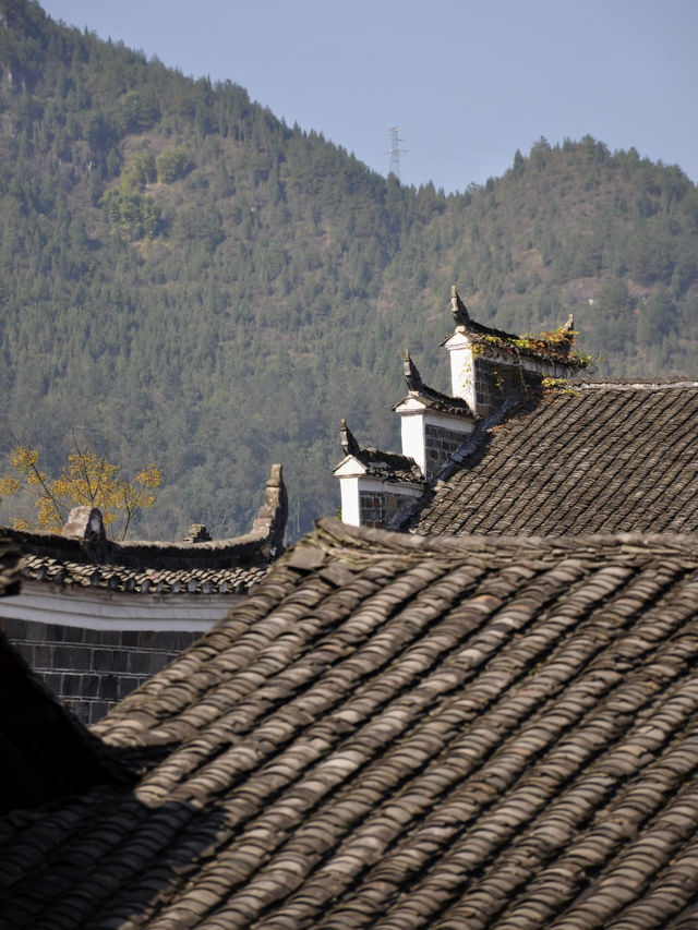 重慶旅遊｜沈從文筆下的邊城竟在重慶-秀山洪安