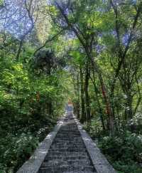 臘山國家森林公園