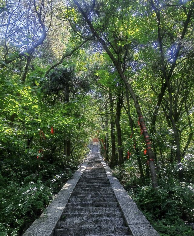 臘山國家森林公園
