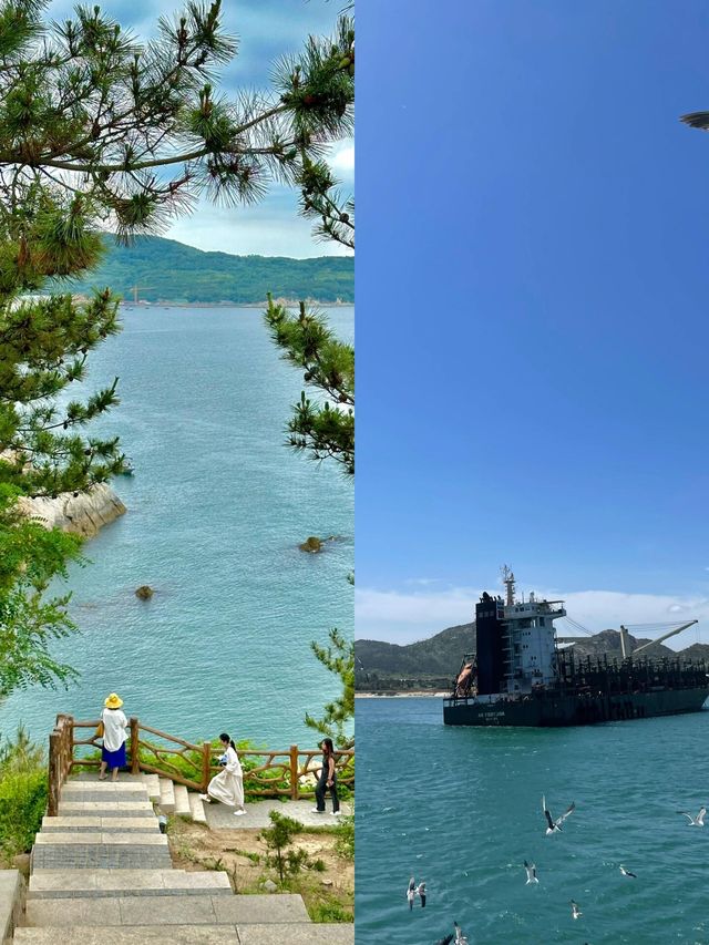海驢島嘅海鷗太可愛喇！哦莫！包鍾意嘅！