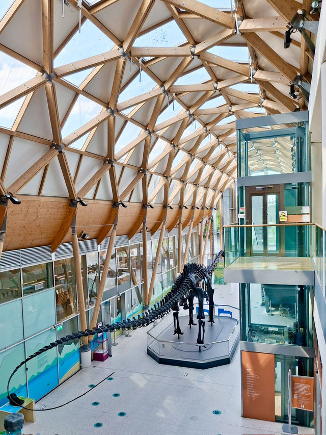 Discover the Herbert Art Gallery & Museum: Dinosaurs, Legends & Free Fun!