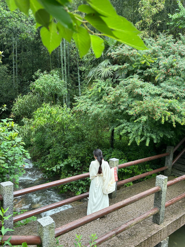 躲進山野清涼秘境，解鎖夏日神仙玩法