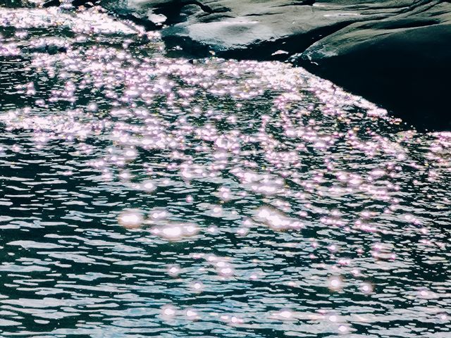 「一日睇盡刺桐城，細路玩到癲我影到靚！」