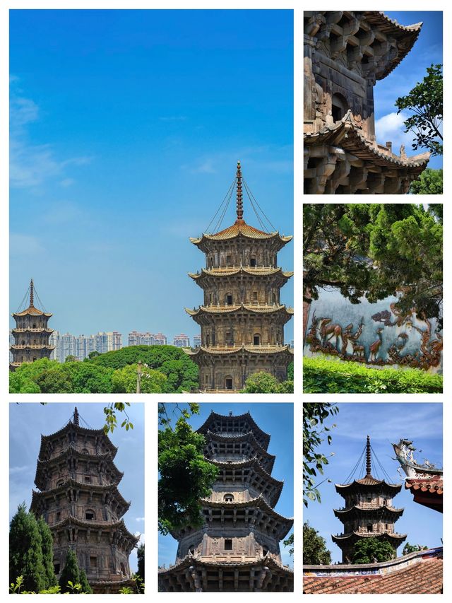 寶藏泉州來了寶子唔想走