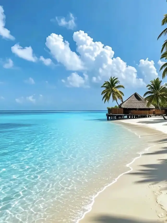 🥥誤入三亞「小宇宙」!