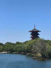 濰坊白浪綠洲：城市中的天然氧吧