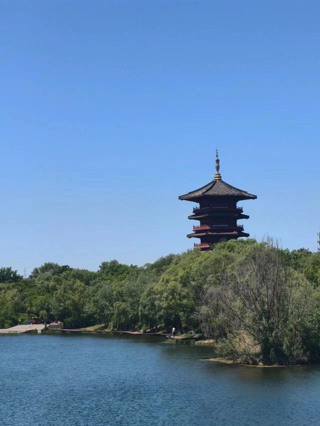 濰坊白浪綠洲：城市中的天然氧吧