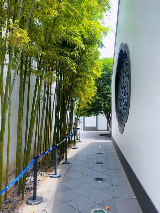 焦溪水影 | 船槳搖出江南夢
