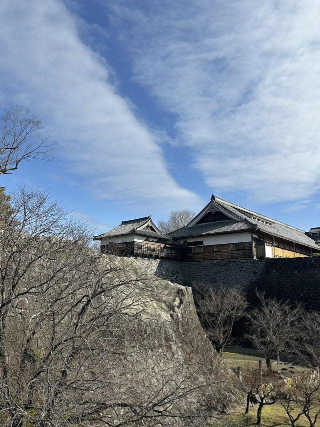 Towering Kumamoto Castle 🇯🇵🏯