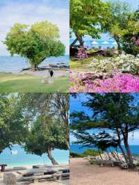 真係唔使去馬代，呢度先係海島天花板