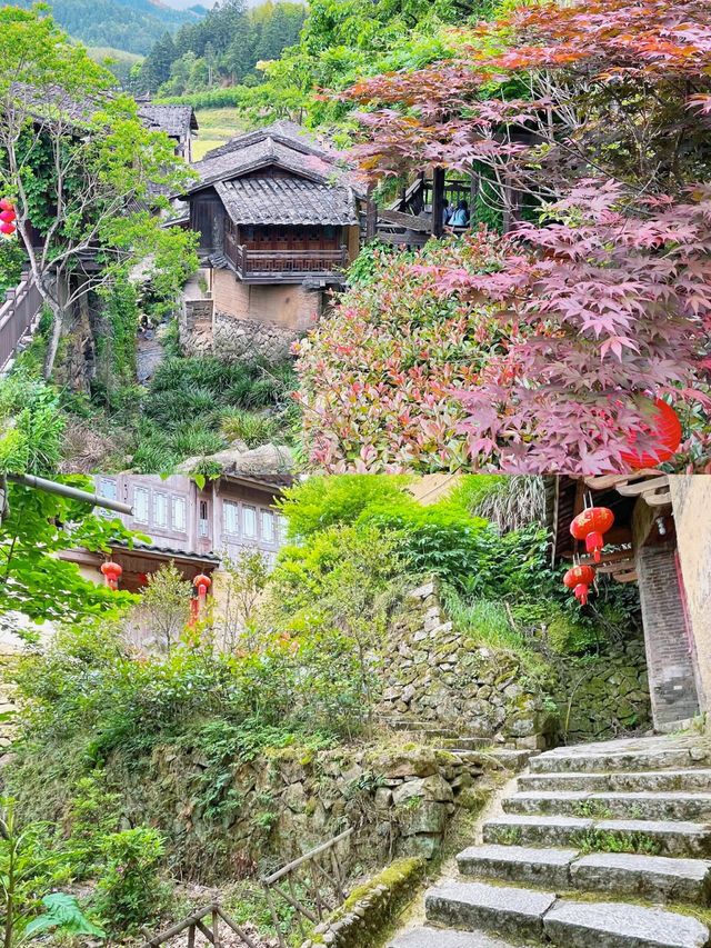 屏南自由行指南交通、景點、美食一鍵get