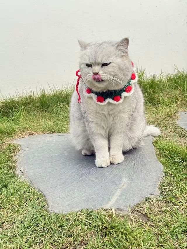 我喺大理等你，枕住蒼山入眠