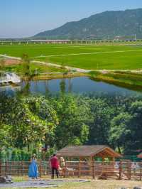 畢業狂歡攻略|清遠夏日田園派對