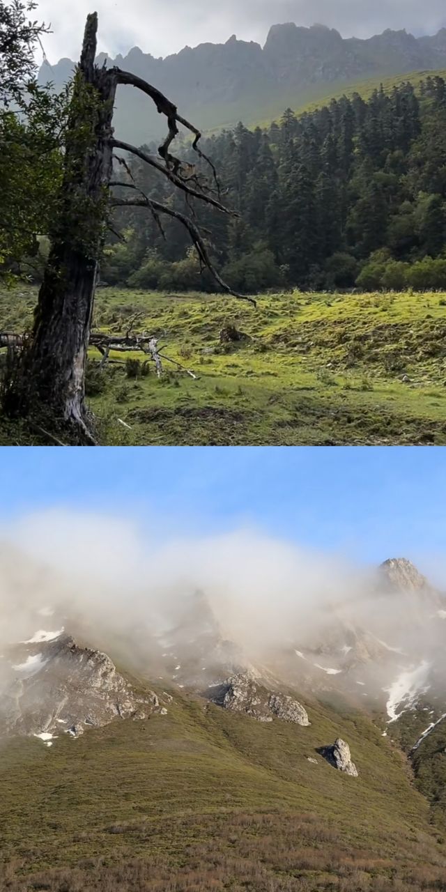 骨麻湖之旅