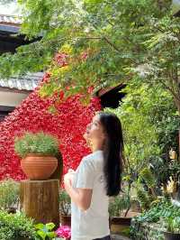喺麗江，我住進咗一幅水墨畫！竹榭庭呢個院子真係絕咗~