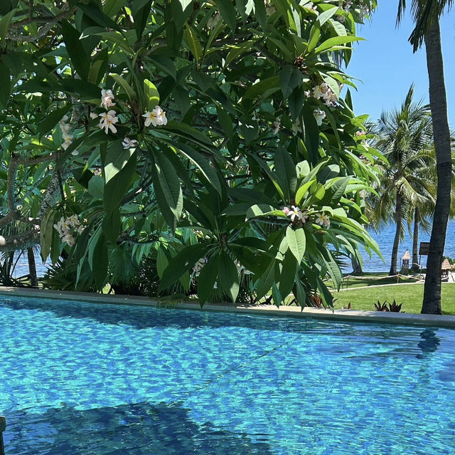 🌴夏天就是要泡在泳池裡！文華東方酒店直接美到心臟爆擊✨