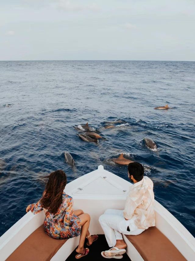 赤道秘境/浮潛天堂柏悅哈達哈